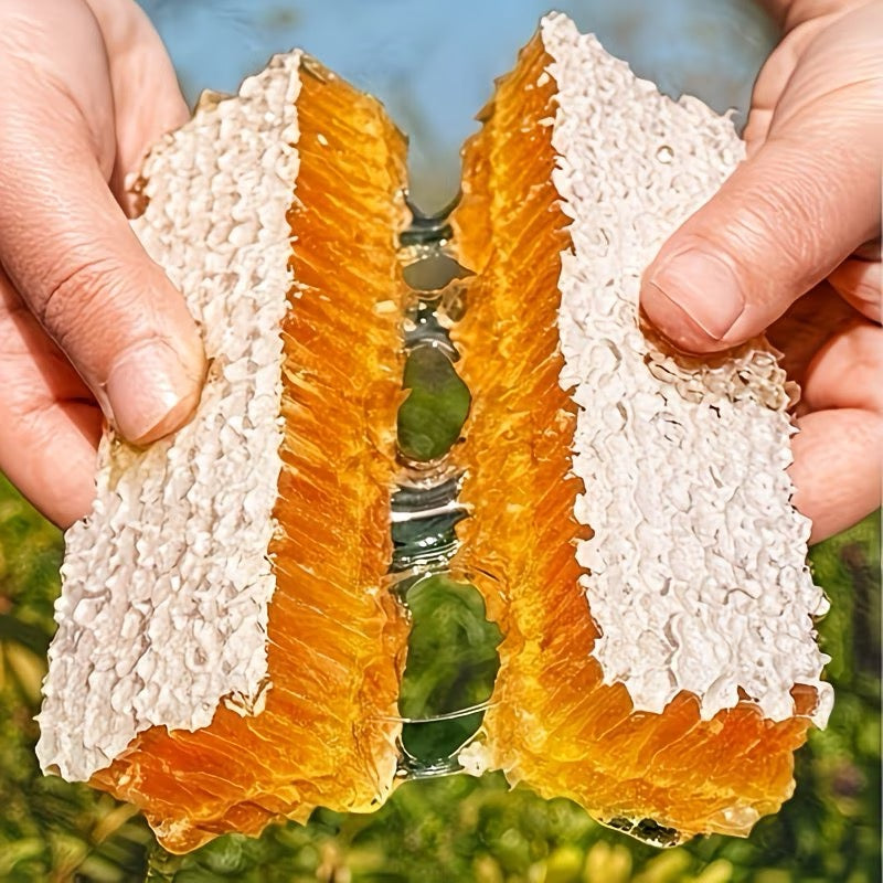 Honeycomb